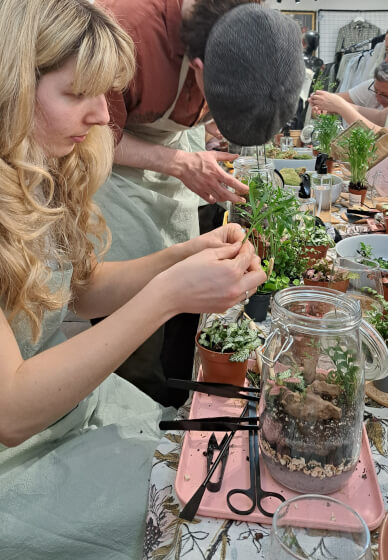 Closed Terrarium Workshop