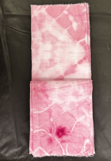 Cochineal Dyeing Workshop