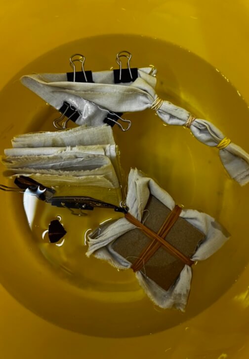 Cochineal Dyeing Workshop