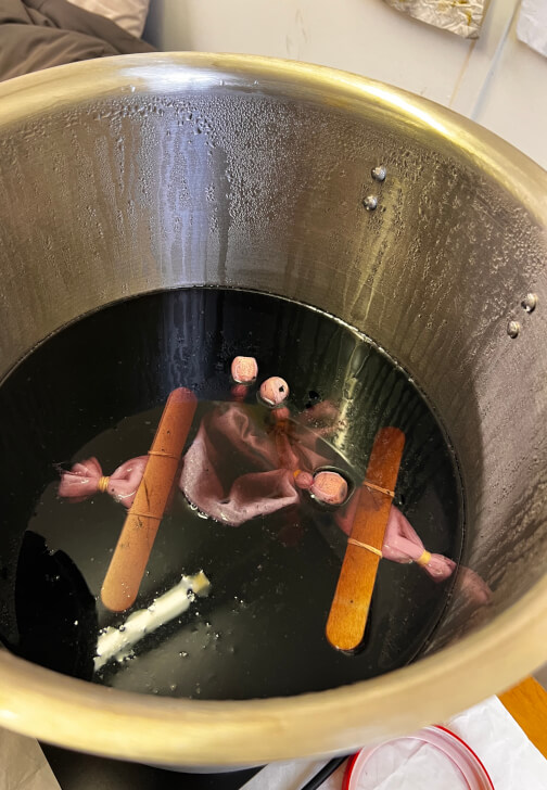 Cochineal Dyeing Workshop