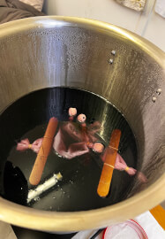 Cochineal Dyeing Workshop