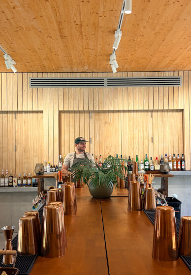 Cocktail Making Class