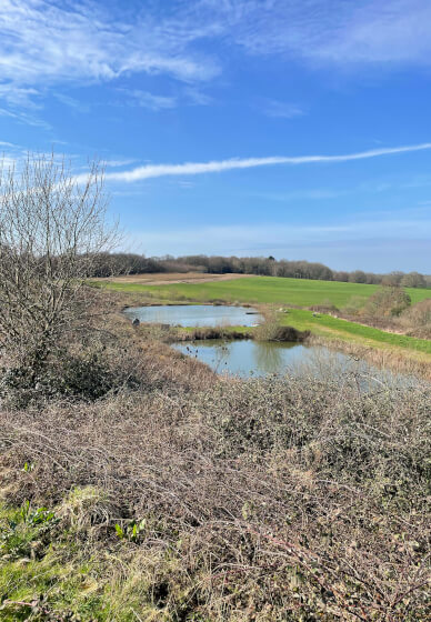 Countryside Yoga Retreat: Reconnect and Reset