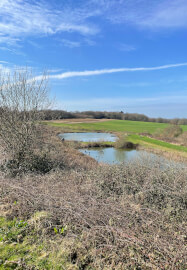 Countryside Yoga Retreat: Reconnect and Reset