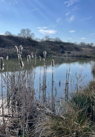 Countryside Yoga Retreat: Reconnect and Reset