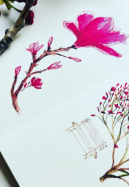 Craft and Sip Social Workshop