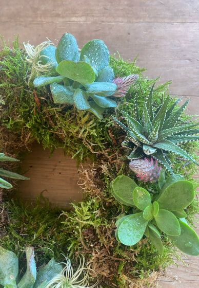 Create a Living Wreath Workshop