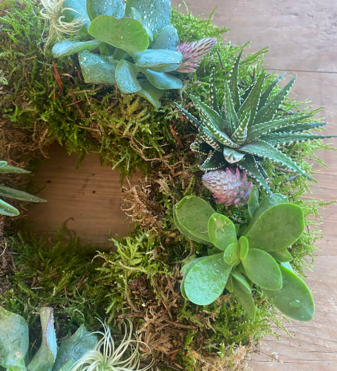 Create a Living Wreath Workshop