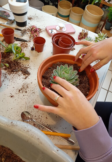 Create a Succulent Garden Bowl Workshop