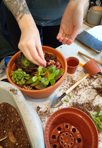 Create a Succulent Garden Bowl Workshop