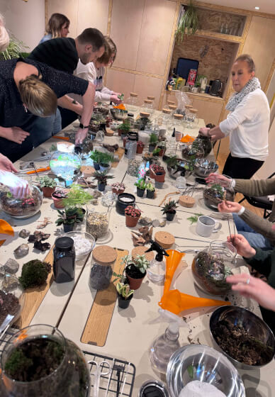 Create Your Own LED Terrarium Workshop