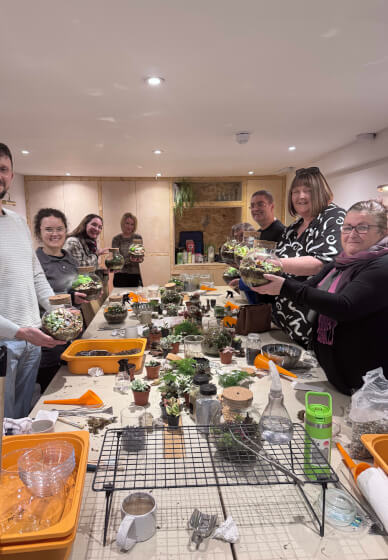 Create Your Own LED Terrarium Workshop