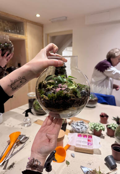 Create Your Own LED Terrarium Workshop