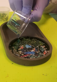 Create Your Own Zen Garden - Wellness Craft Workshop