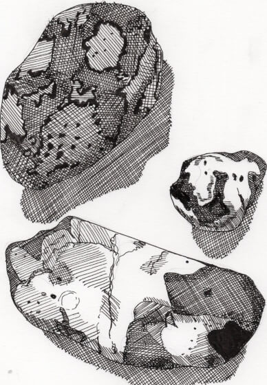 Creative Drawing (Mondays Walthamstow): Autumn Nature Studies