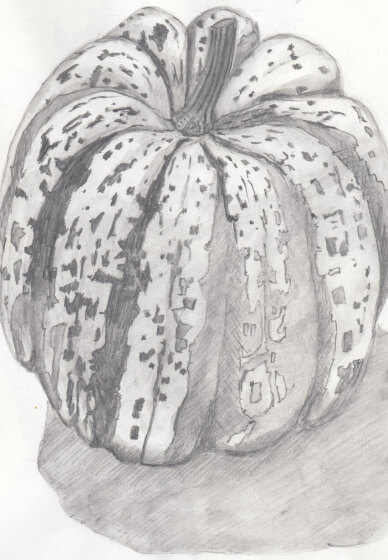 Creative Drawing (Thursdays Walthamstow): Autumn Nature Studies