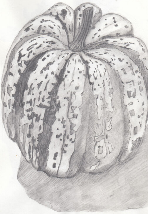 Creative Drawing (Thursdays Walthamstow): Autumn Nature Studies