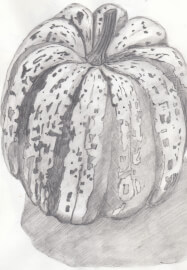 Creative Drawing (Thursdays Walthamstow): Autumn Nature Studies