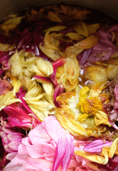 Creative Natural Dyeing Workshop