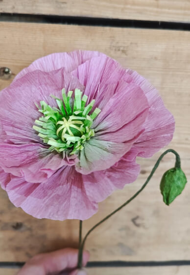 Crepe Paper Flower Making Workshop