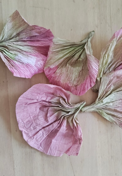 Crepe Paper Flower Making Workshop
