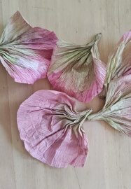 Crepe Paper Flower Making Workshop
