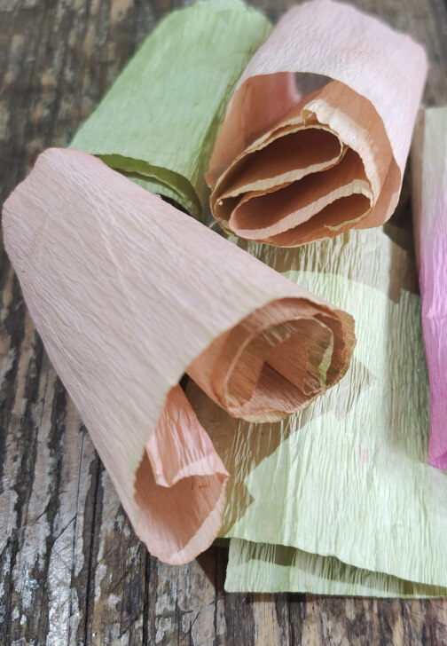 Crepe Paper Flower Making Workshop