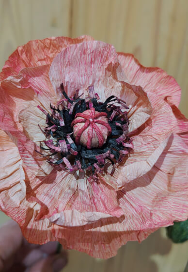 Crepe Paper Flower Making Workshop