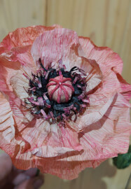 Crepe Paper Flower Making Workshop