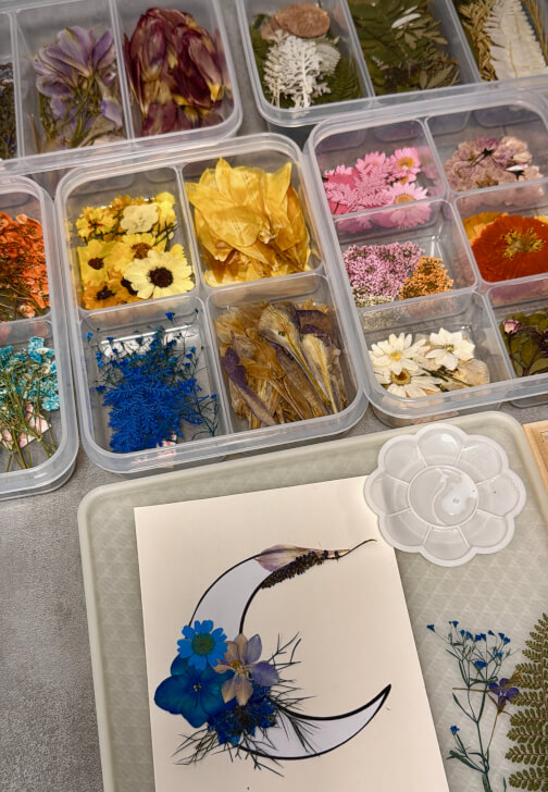 Crescent Moon Pressed Flower Art Workshop