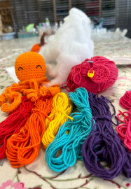 Crochet Your Own Amigurumi Octopus Workshop