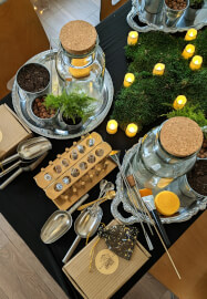 Crystal Garden Terrarium Workshop
