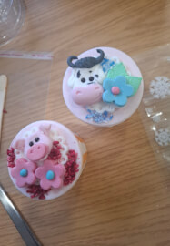 Cupcake Decoration Class for Adults
