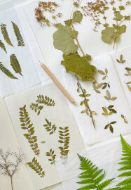 Cyanotype Lampshade Workshop