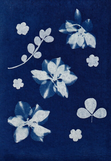 Cyanotype Printing and Mixed-Media Art Workshop