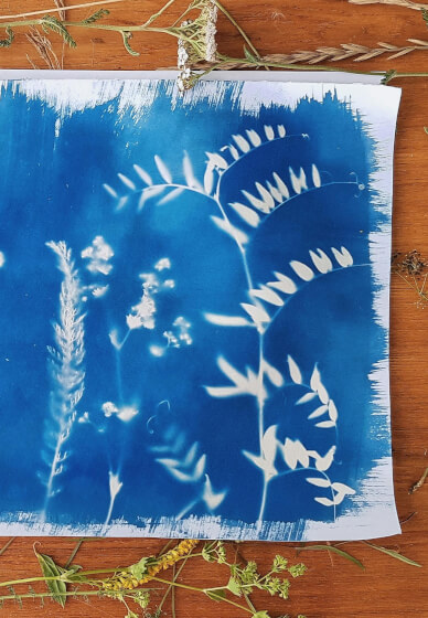 Cyanotype Printing and Mixed-Media Art Workshop