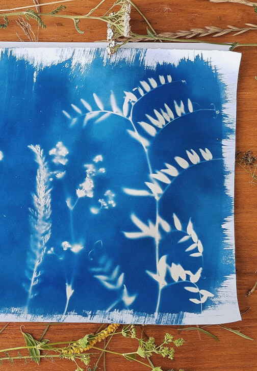 Cyanotype Printing and Mixed-Media Art Workshop