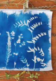Cyanotype Printing and Mixed-Media Art Workshop