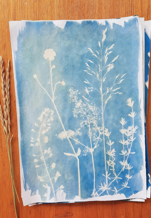 Cyanotype Printing and Mixed-Media Art Workshop