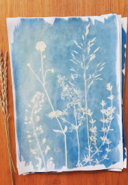 Cyanotype Printing and Mixed-Media Art Workshop