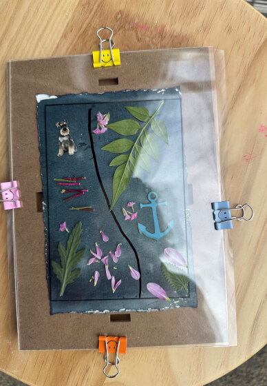 Cyanotype Toning Workshop and Matcha Ritual