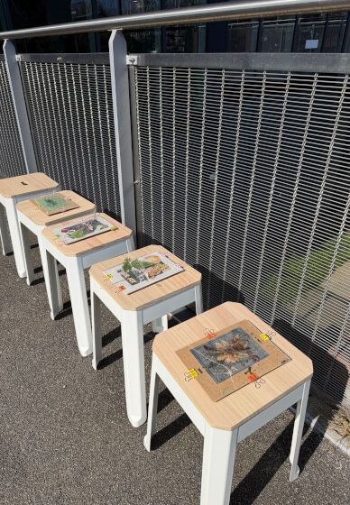 Cyanotype Toning Workshop and Matcha Ritual