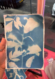 Cyanotype Workshop