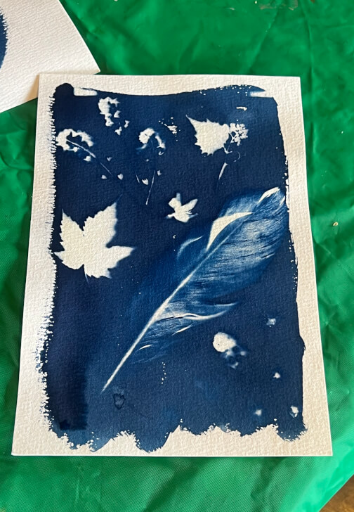 Cyanotype Workshop