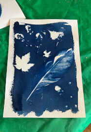 Cyanotype Workshop