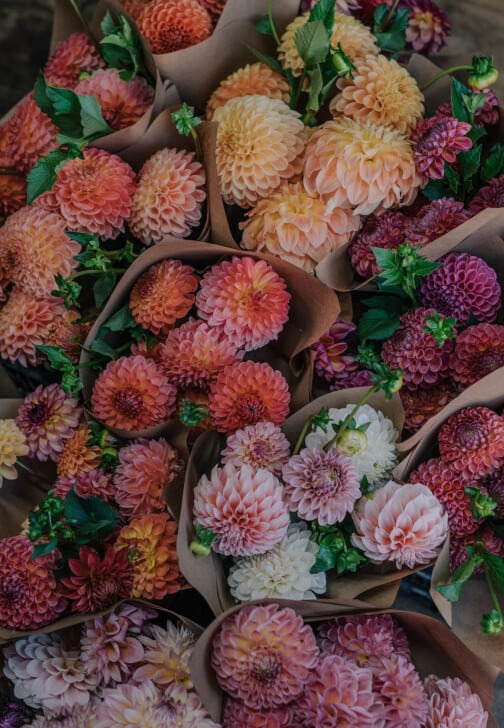 Dahlia Glass Vase Flower Arranging Workshop - Nine Elms