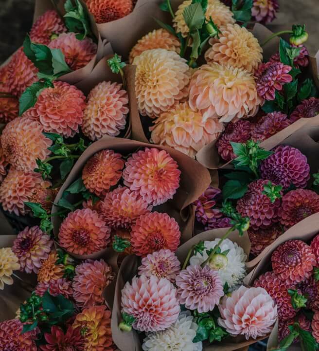Dahlia Glass Vase Flower Arranging Workshop - Nine Elms
