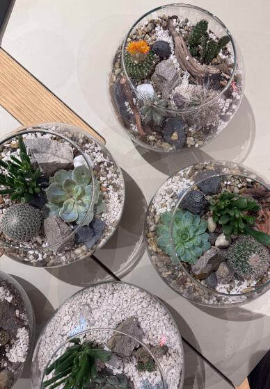 Desert in a Glass: Open Terrarium Workshop with Cacti and Succulent