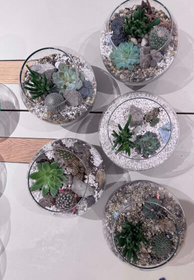 Desert in a Glass: Open Terrarium Workshop with Cacti and Succulent