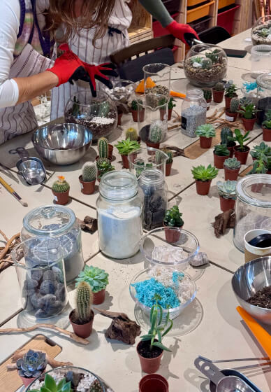 Desert in a Glass: Open Terrarium Workshop with Cacti and Succulent